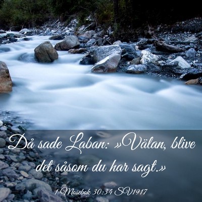 Picture 03 - 1 Mosebok 30:34 SV1917 - Då sade Laban: »Välan, blive det såsom du har - Bible Verse Picture