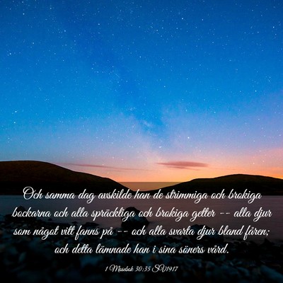 Picture 03 - 1 Mosebok 30:35 SV1917 - Och samma dag avskilde han de strimmiga och - Bible Verse Picture