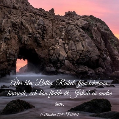Picture 03 - 1 Mosebok 30:7 SV1917 - Åter blev Bilha, Rakels tjänstekvinna, havande, - Bible Verse Picture