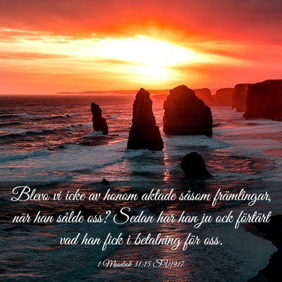 Picture 03 - 1 Mosebok 31:15 SV1917 - Blevo vi icke av honom aktade såsom främlingar, - Bible Verse Picture
