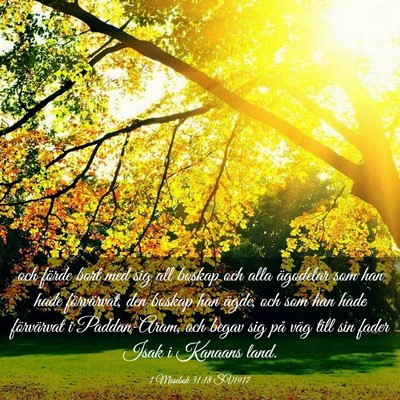 Picture 03 - 1 Mosebok 31:18 SV1917 - och förde bort med sig all boskap och alla - Bible Verse Picture