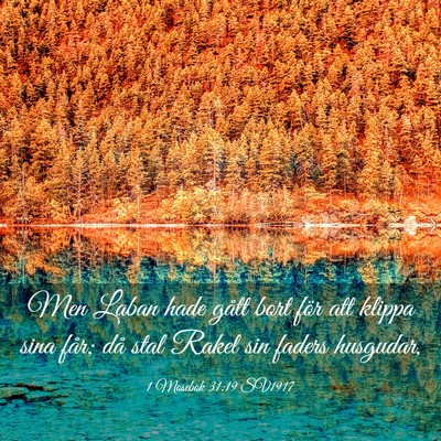 Picture 03 - 1 Mosebok 31:19 SV1917 - Men Laban hade gått bort för att klippa sina - Bible Verse Picture