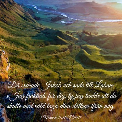 Picture 03 - 1 Mosebok 31:31 SV1917 - Då svarade Jakob och sade till Laban: »Jag - Bible Verse Picture
