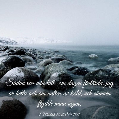 Picture 03 - 1 Mosebok 31:40 SV1917 - Sådan var min lott: om dagen förtärdes jag av - Bible Verse Picture