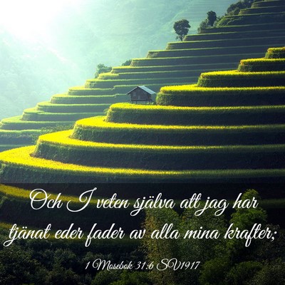 Picture 03 - 1 Mosebok 31:6 SV1917 - Och I veten själva att jag har tjänat eder - Bible Verse Picture