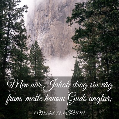 Picture 03 - 1 Mosebok 32:1 SV1917 - Men när Jakob drog sin väg fram, mötte honom - Bible Verse Picture