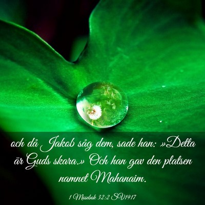 Picture 03 - 1 Mosebok 32:2 SV1917 - och då Jakob såg dem, sade han: »Detta är - Bible Verse Picture