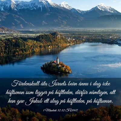 Picture 03 - 1 Mosebok 32:32 SV1917 - Fördenskull äta Israels barn ännu i dag icke - Bible Verse Picture