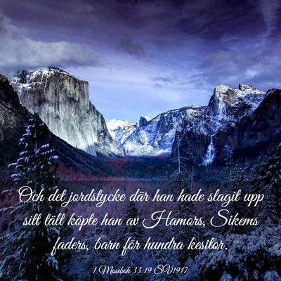 Picture 03 - 1 Mosebok 33:19 SV1917 - Och det jordstycke där han hade slagit upp sitt - Bible Verse Picture