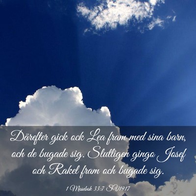 Picture 03 - 1 Mosebok 33:7 SV1917 - Därefter gick ock Lea fram med sina barn, och de - Bible Verse Picture