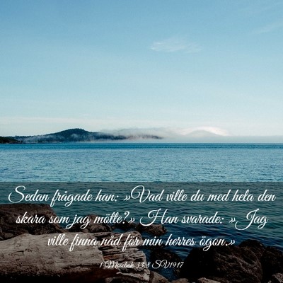Picture 03 - 1 Mosebok 33:8 SV1917 - Sedan frågade han: »Vad ville du med hela den - Bible Verse Picture