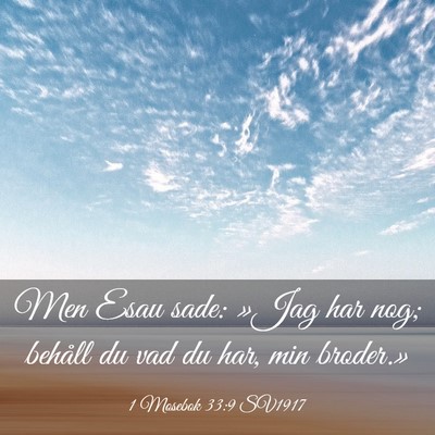 Picture 03 - 1 Mosebok 33:9 SV1917 - Men Esau sade: »Jag har nog; behåll du vad du - Bible Verse Picture