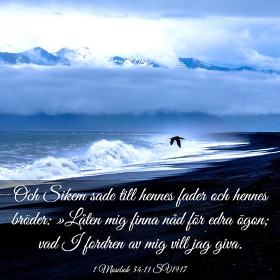 Picture 03 - 1 Mosebok 34:11 SV1917 - Och Sikem sade till hennes fader och hennes - Bible Verse Picture