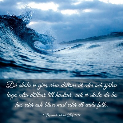 Picture 03 - 1 Mosebok 34:16 SV1917 - Då skola vi giva våra döttrar åt eder och - Bible Verse Picture