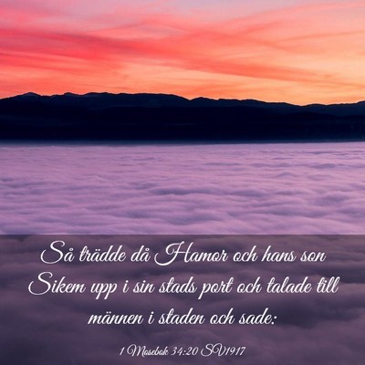 Picture 03 - 1 Mosebok 34:20 SV1917 - Så trädde då Hamor och hans son Sikem upp i - Bible Verse Picture