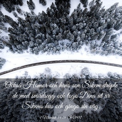 Picture 03 - 1 Mosebok 34:26 SV1917 - Också Hamor och hans son Sikem dräpte de med - Bible Verse Picture