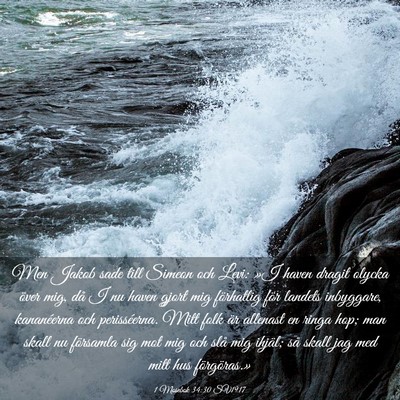 Picture 03 - 1 Mosebok 34:30 SV1917 - Men Jakob sade till Simeon och Levi: »I haven - Bible Verse Picture