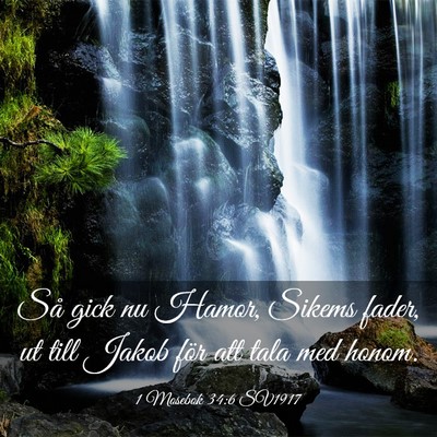 Picture 03 - 1 Mosebok 34:6 SV1917 - Så gick nu Hamor, Sikems fader, ut till Jakob - Bible Verse Picture