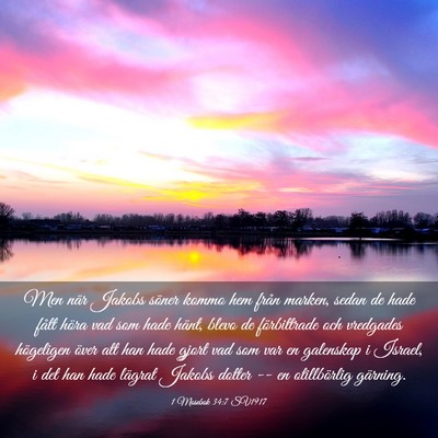 Picture 03 - 1 Mosebok 34:7 SV1917 - Men när Jakobs söner kommo hem från marken, - Bible Verse Picture