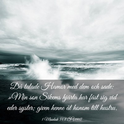 Picture 03 - 1 Mosebok 34:8 SV1917 - Då talade Hamor med dem och sade: »Min son - Bible Verse Picture