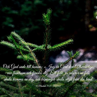 Picture 03 - 1 Mosebok 35:11 SV1917 - Och Gud sade till honom: »Jag är Gud den - Bible Verse Picture