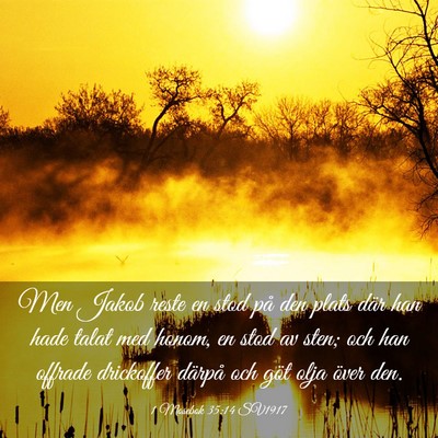 Picture 03 - 1 Mosebok 35:14 SV1917 - Men Jakob reste en stod på den plats där han - Bible Verse Picture