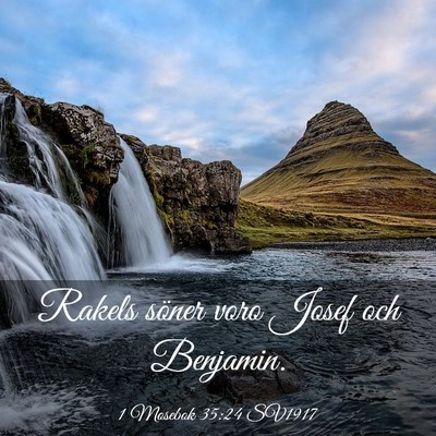 Picture 03 - 1 Mosebok 35:24 SV1917 - Rakels söner voro Josef och - Bible Verse Picture