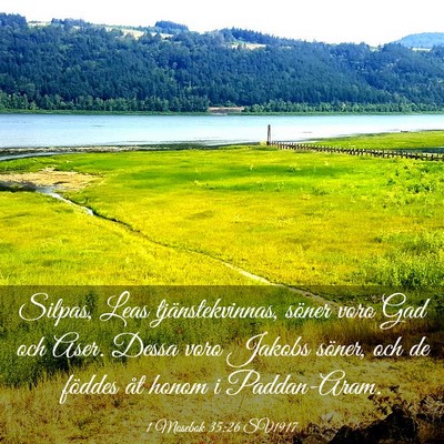 Picture 03 - 1 Mosebok 35:26 SV1917 - Silpas, Leas tjänstekvinnas, söner voro Gad och - Bible Verse Picture