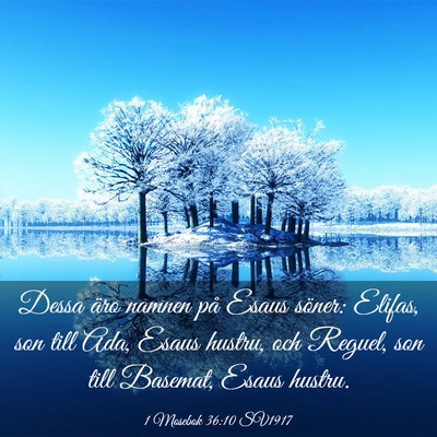Picture 03 - 1 Mosebok 36:10 SV1917 - Dessa äro namnen på Esaus söner: Elifas, son - Bible Verse Picture
