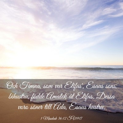 Picture 03 - 1 Mosebok 36:12 SV1917 - Och Timna, som var Elifas', Esaus sons, bihustru, - Bible Verse Picture