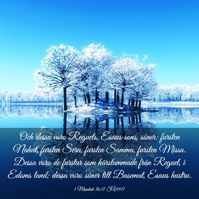 Picture 03 - 1 Mosebok 36:17 SV1917 - Och dessa voro Reguels, Esaus sons, söner: - Bible Verse Picture
