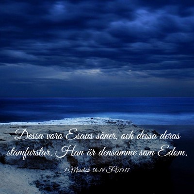 Picture 03 - 1 Mosebok 36:19 SV1917 - Dessa voro Esaus söner, och dessa deras - Bible Verse Picture