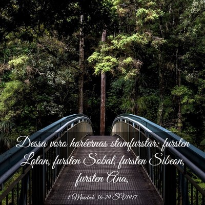 Picture 03 - 1 Mosebok 36:29 SV1917 - Dessa voro horéernas stamfurstar: fursten Lotan, - Bible Verse Picture
