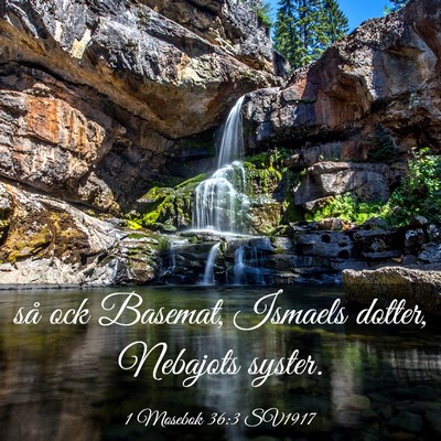 Picture 03 - 1 Mosebok 36:3 SV1917 - så ock Basemat, Ismaels dotter, Nebajots - Bible Verse Picture
