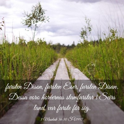Picture 03 - 1 Mosebok 36:30 SV1917 - fursten Dison, fursten Eser, fursten Disan. Dessa - Bible Verse Picture