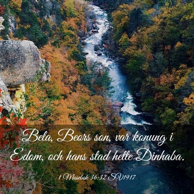 Picture 03 - 1 Mosebok 36:32 SV1917 - Bela, Beors son, var konung i Edom, och hans stad - Bible Verse Picture