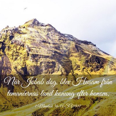 Picture 03 - 1 Mosebok 36:34 SV1917 - När Jobab dog, blev Husam från temanéernas - Bible Verse Picture