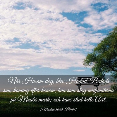 Picture 03 - 1 Mosebok 36:35 SV1917 - När Husam dog, blev Hadad, Bedads son, konung - Bible Verse Picture