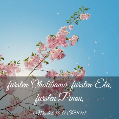 Picture 03 - 1 Mosebok 36:41 SV1917 - fursten Oholibama, fursten Ela, fursten - Bible Verse Picture