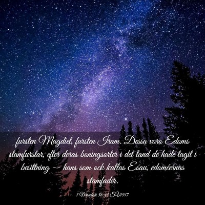 Picture 03 - 1 Mosebok 36:43 SV1917 - fursten Magdiel, fursten Iram. Dessa voro Edoms - Bible Verse Picture