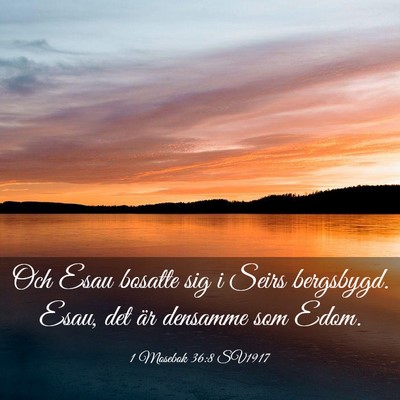 Picture 03 - 1 Mosebok 36:8 SV1917 - Och Esau bosatte sig i Seirs bergsbygd. Esau, det - Bible Verse Picture