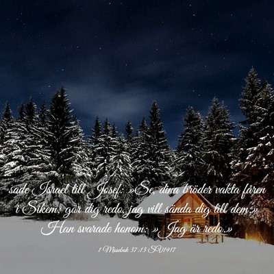 Picture 03 - 1 Mosebok 37:13 SV1917 - sade Israel till Josef: »Se, dina bröder vakta - Bible Verse Picture