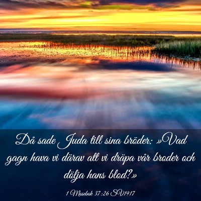 Picture 03 - 1 Mosebok 37:26 SV1917 - Då sade Juda till sina bröder: »Vad gagn hava - Bible Verse Picture