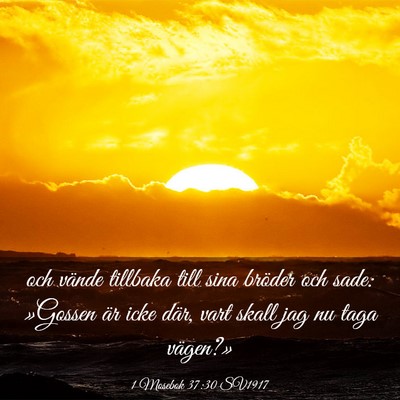 Picture 03 - 1 Mosebok 37:30 SV1917 - och vände tillbaka till sina bröder och sade: - Bible Verse Picture