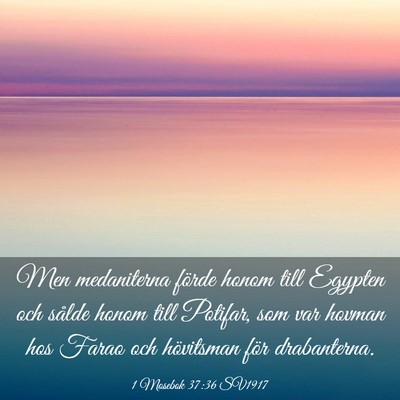 Picture 03 - 1 Mosebok 37:36 SV1917 - Men medaniterna förde honom till Egypten och - Bible Verse Picture