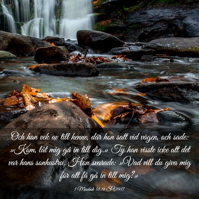 Picture 03 - 1 Mosebok 38:16 SV1917 - Och han vek av till henne, där hon satt vid - Bible Verse Picture