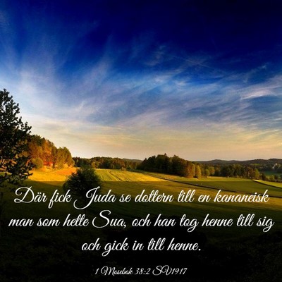 Picture 03 - 1 Mosebok 38:2 SV1917 - Där fick Juda se dottern till en kananeisk man - Bible Verse Picture