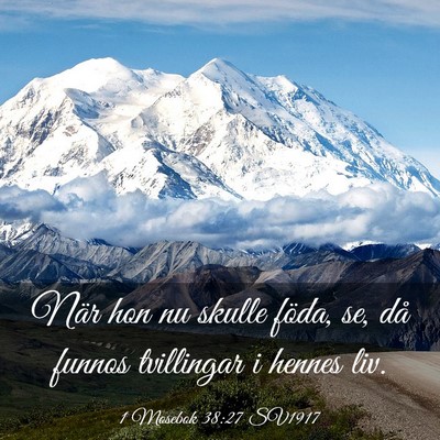 Picture 03 - 1 Mosebok 38:27 SV1917 - När hon nu skulle föda, se, då funnos - Bible Verse Picture