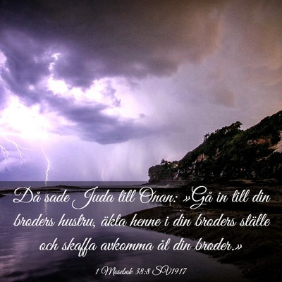 Picture 03 - 1 Mosebok 38:8 SV1917 - Då sade Juda till Onan: »Gå in till din - Bible Verse Picture