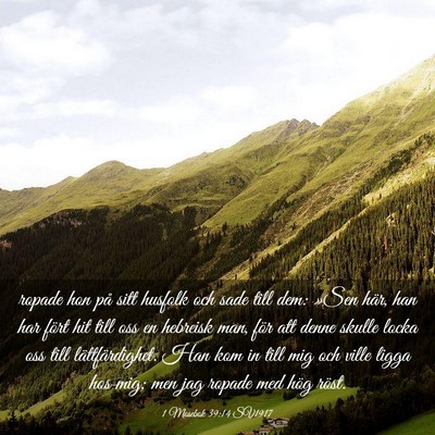 Picture 03 - 1 Mosebok 39:14 SV1917 - ropade hon på sitt husfolk och sade till dem: - Bible Verse Picture